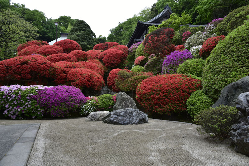 b0042837_621672.jpg