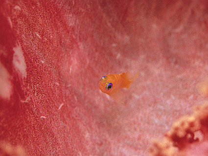 b0042837_6355665.jpg