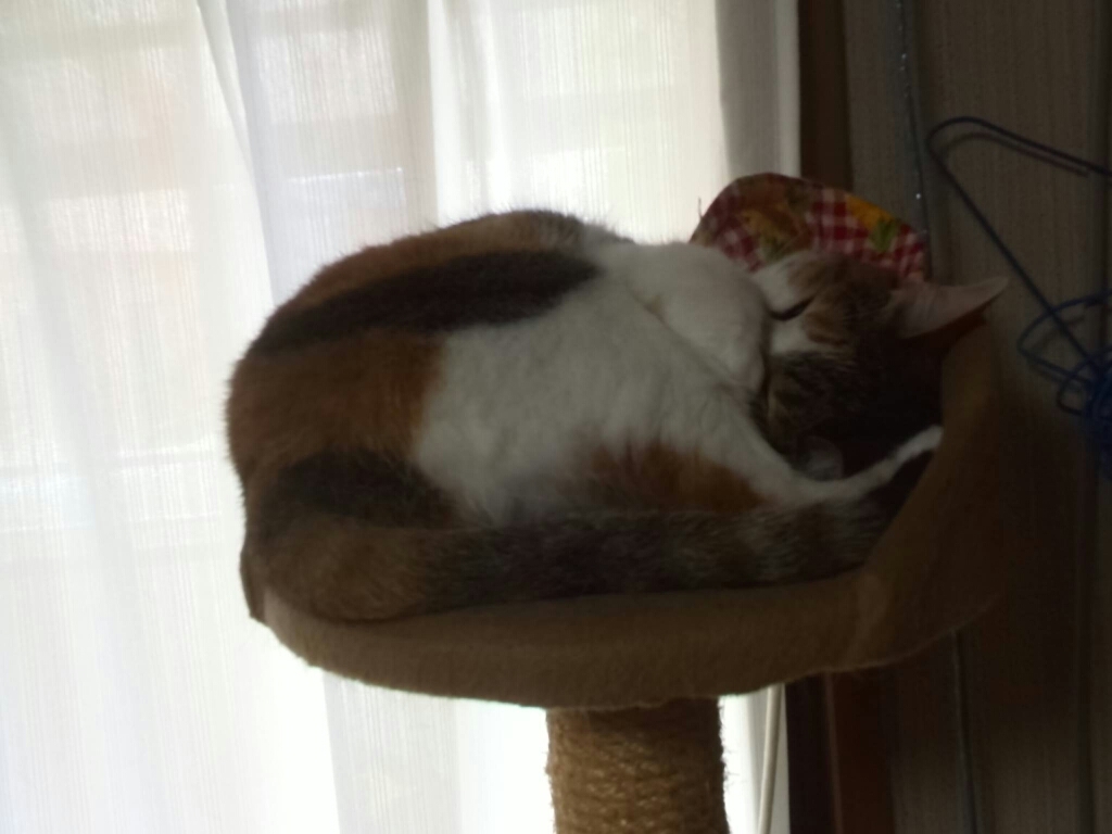 c0194042_21321791.jpg