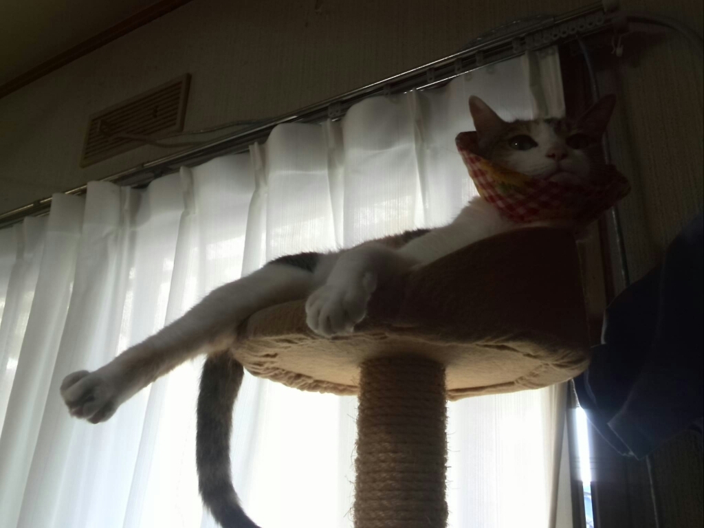 c0194042_21322015.jpg