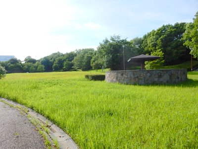 a0142343_10521687.jpg