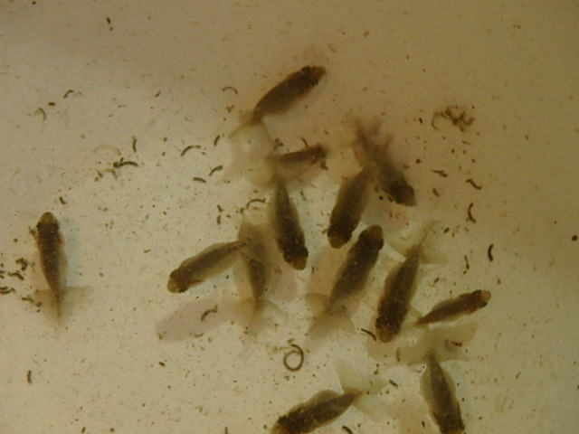 f0334143_19551218.jpg