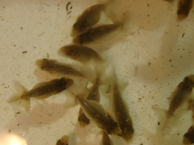 f0334143_1955326.jpg