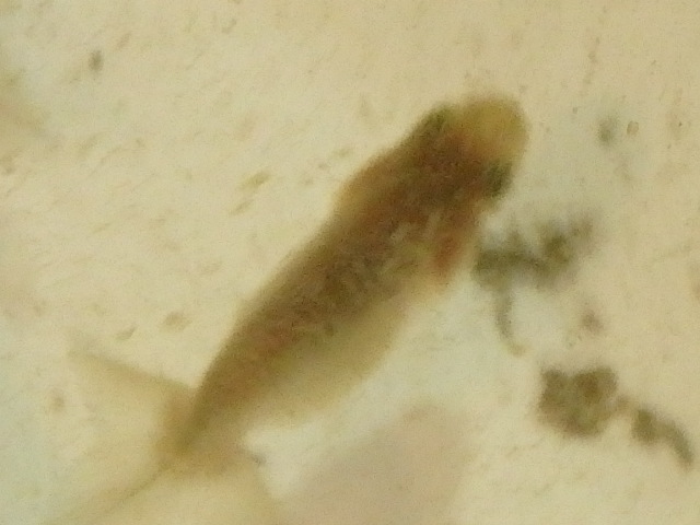 f0334143_19555111.jpg