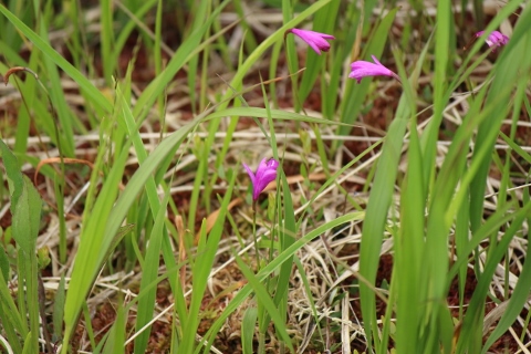 b0189948_21152812.jpg