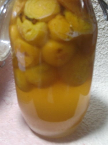 f0329849_11002230.jpg