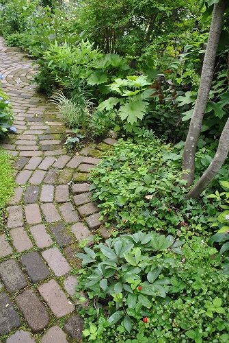 e0159050_1823190.jpg