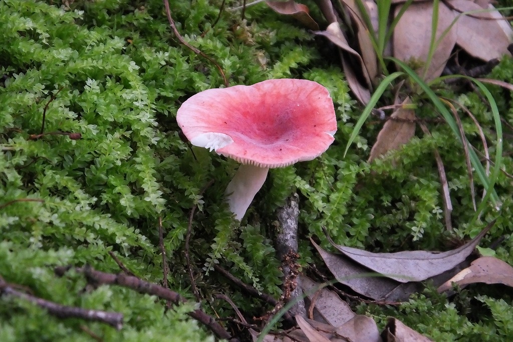 b0236251_10512541.jpg