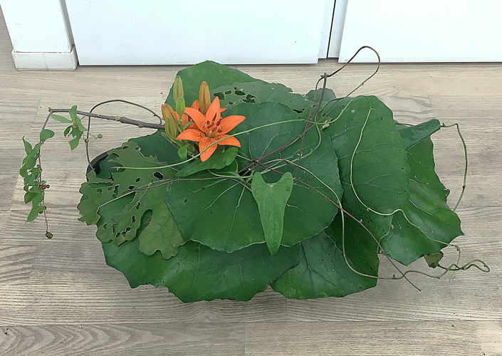 a0001354_22281591.gif