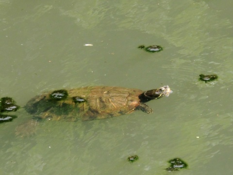 e0045768_21564843.jpg