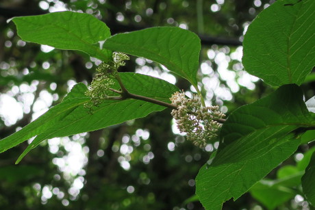 e0292172_20262935.jpg