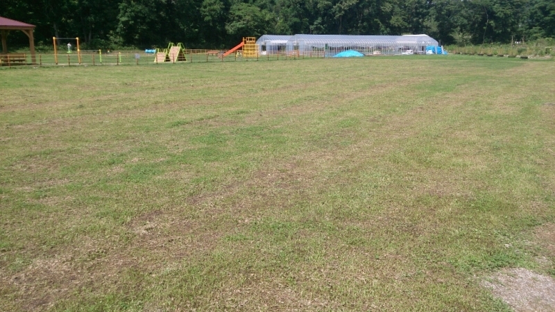 f0363972_12501231.jpg
