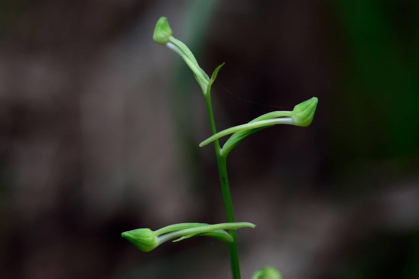 d0328977_22013750.jpg