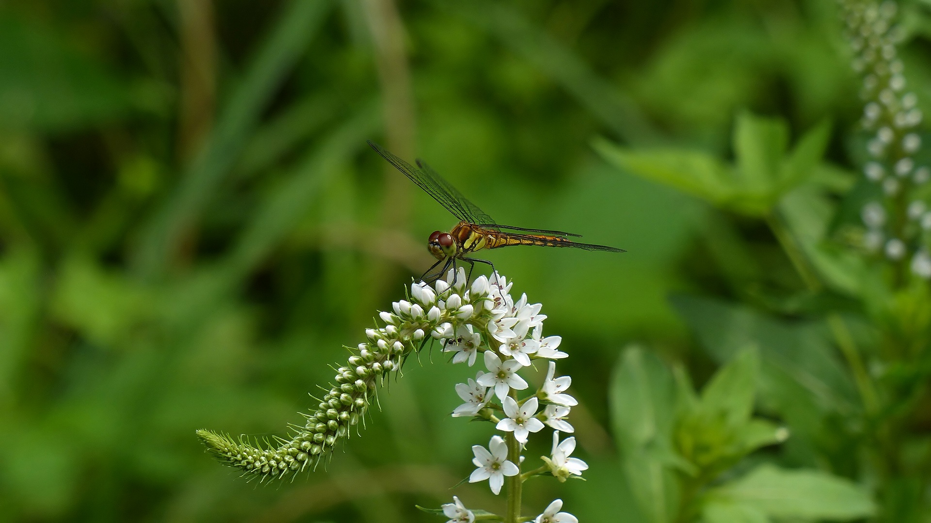 a0185081_22104513.jpg