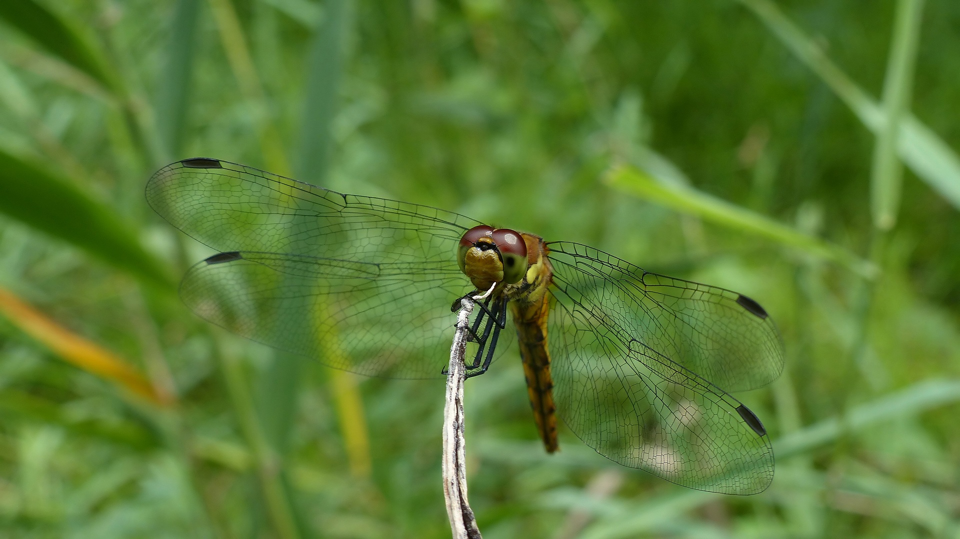 a0185081_2212577.jpg