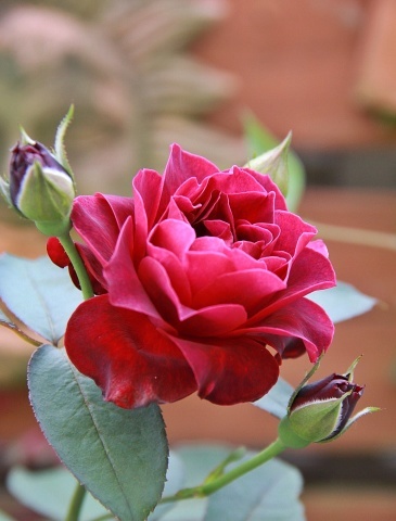 e0154682_22002395.jpg