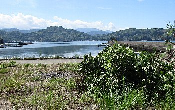 f0003283_17414609.jpg