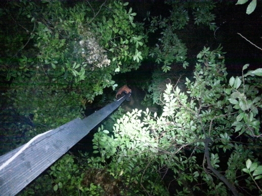 f0183484_15165549.jpg