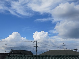 e0130185_2093682.jpg