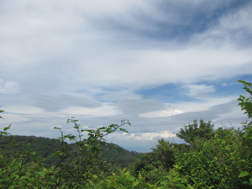 a0251786_18374053.jpg