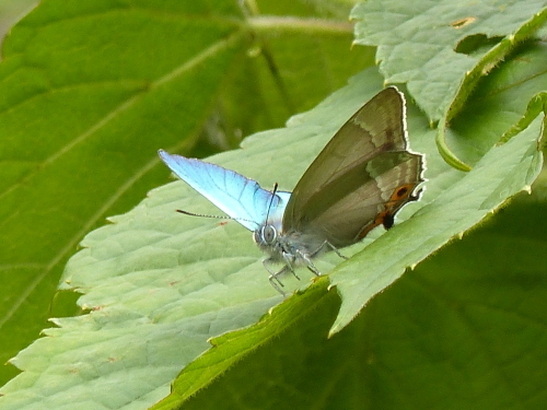 d0353091_10001150.jpg