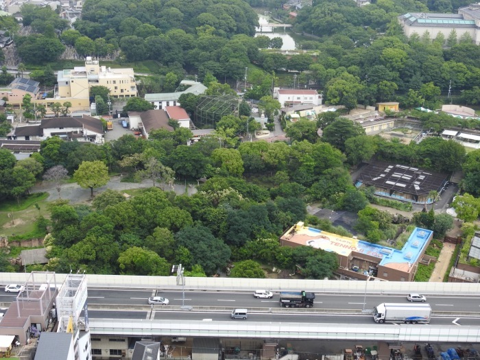 f0268294_22270476.jpeg