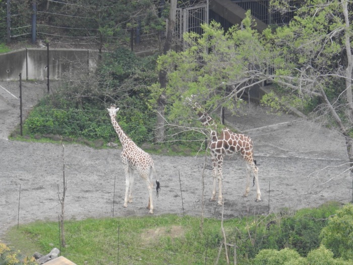 f0268294_22275025.jpeg