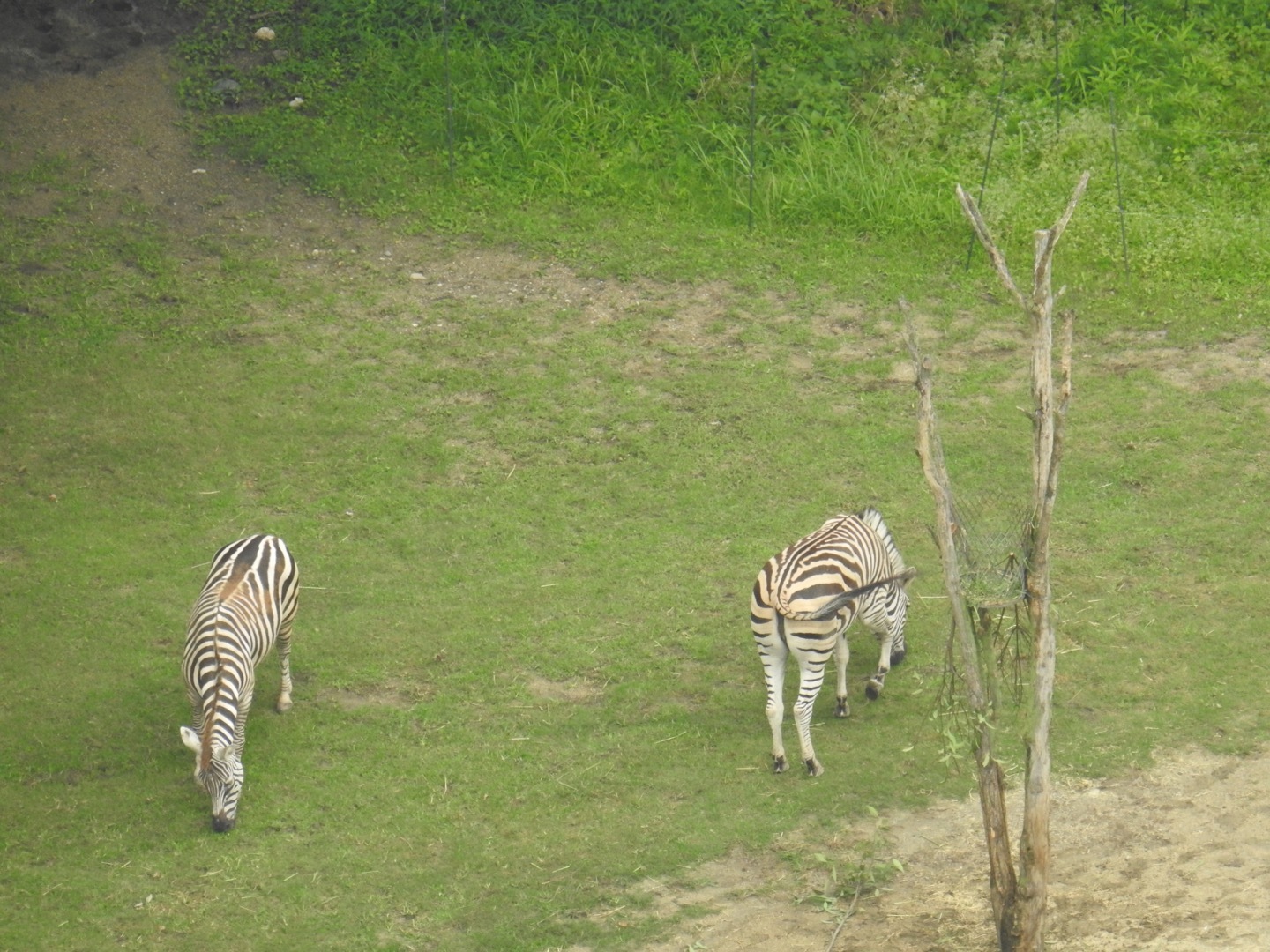f0268294_22282812.jpeg