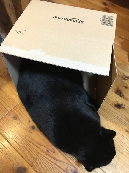 c0011300_21204565.jpeg