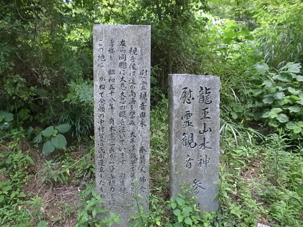 f0197703_09505417.jpg
