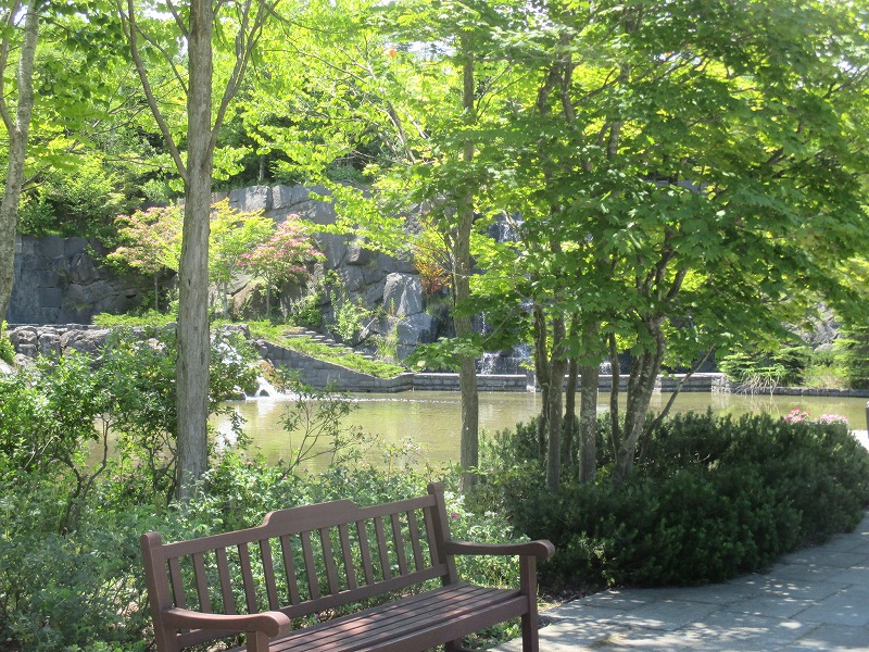 f0202703_2202971.jpg
