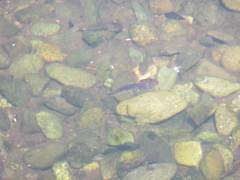 f0202703_2223062.jpg