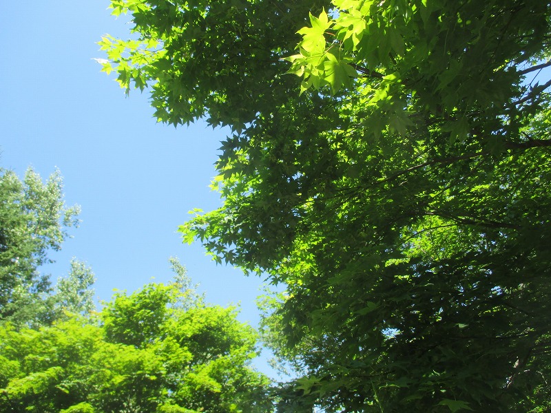 f0202703_2343927.jpg