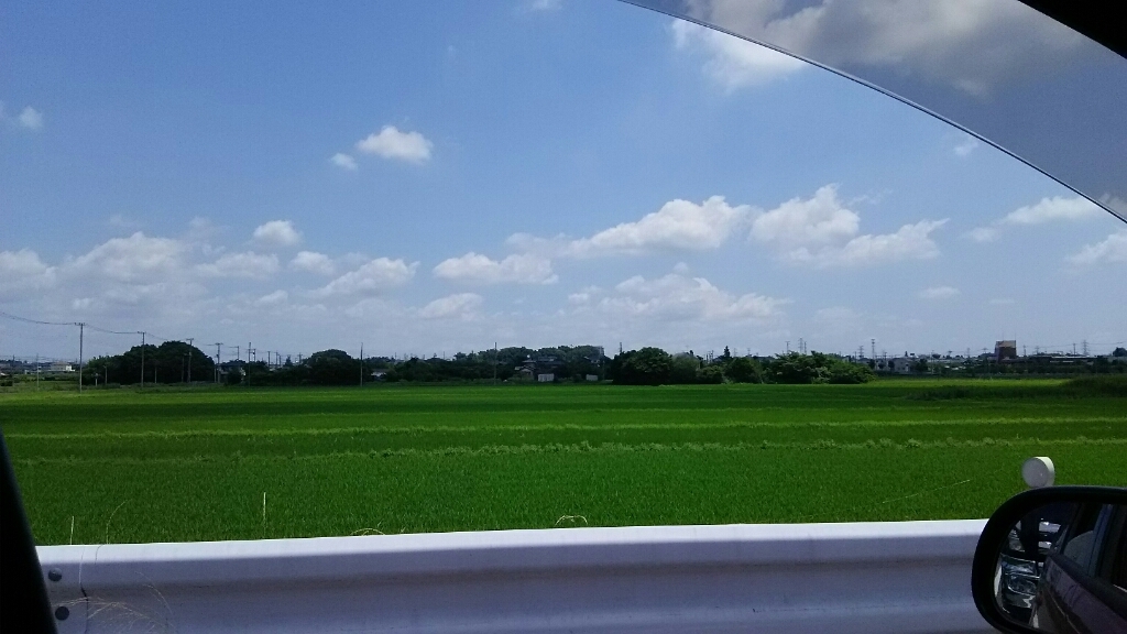 f0113108_19555621.jpg