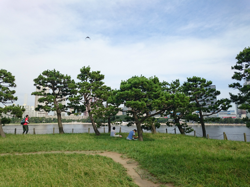 f0100911_21301695.jpg