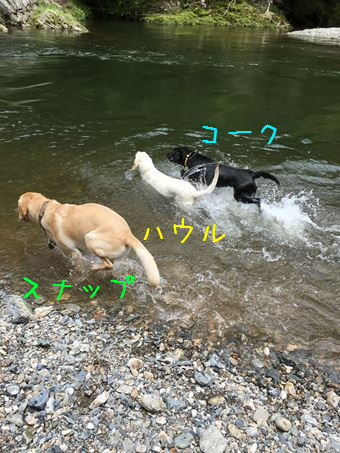 c0114121_23122914.jpg