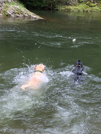c0114121_23414122.jpg