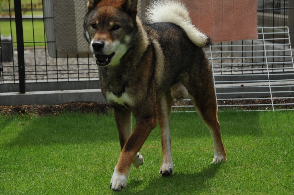 f0143123_2031334.jpg
