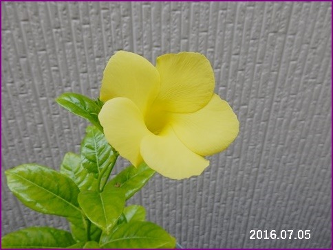 e0033229_1825047.jpg