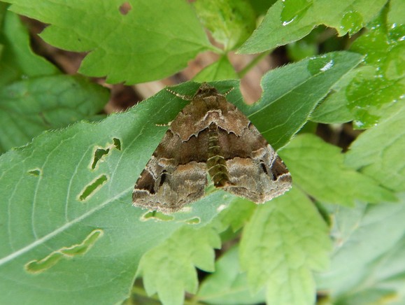f0118332_21302691.jpg