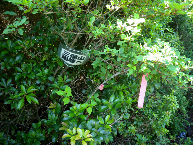 e0272335_20302855.jpg