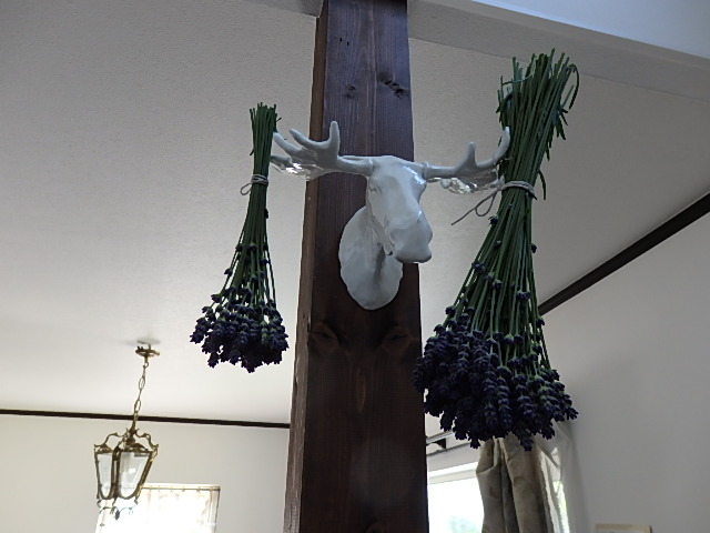 c0137641_6204323.jpg