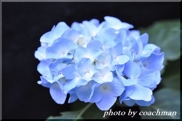 a0315942_22125347.jpg