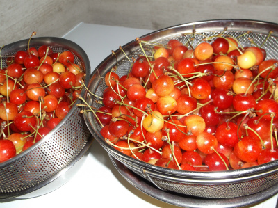 c0006745_593752.jpg
