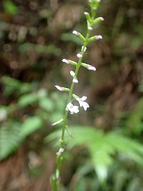 f0214649_5241175.jpg