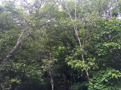 e0001860_22102479.jpg