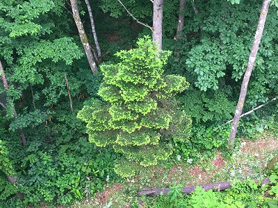 e0001860_22104047.jpg