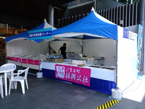 f0207669_9592270.jpg