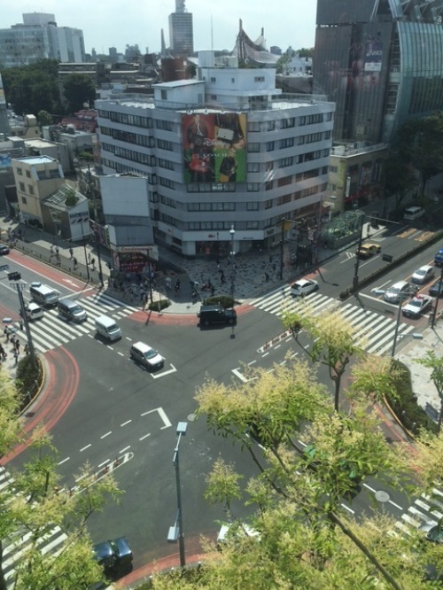 b0125570_10262373.jpg