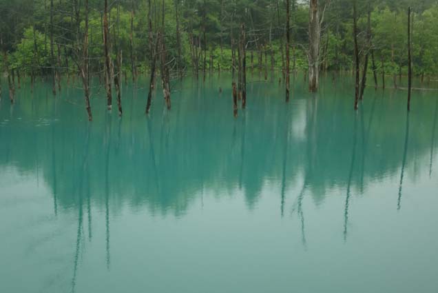 f0176370_1632825.jpg